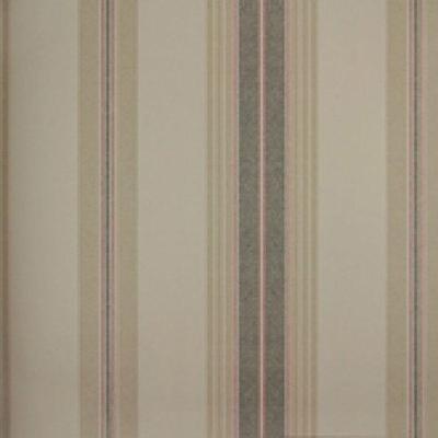 Papel De Parede Listrado Classic Stripes Ct889094 Vinílico - Rolo 10m X 0,53m
