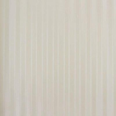 Papel De Parede Listrado Classic Stripes Ct889071 Vinílico - Rolo 10m X 0,53m