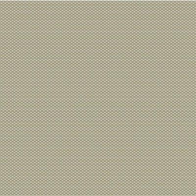 Papel De Parede Beaux Arts 2 Estilo Palha Ba220083 - Rolo 10m X 0,53m
