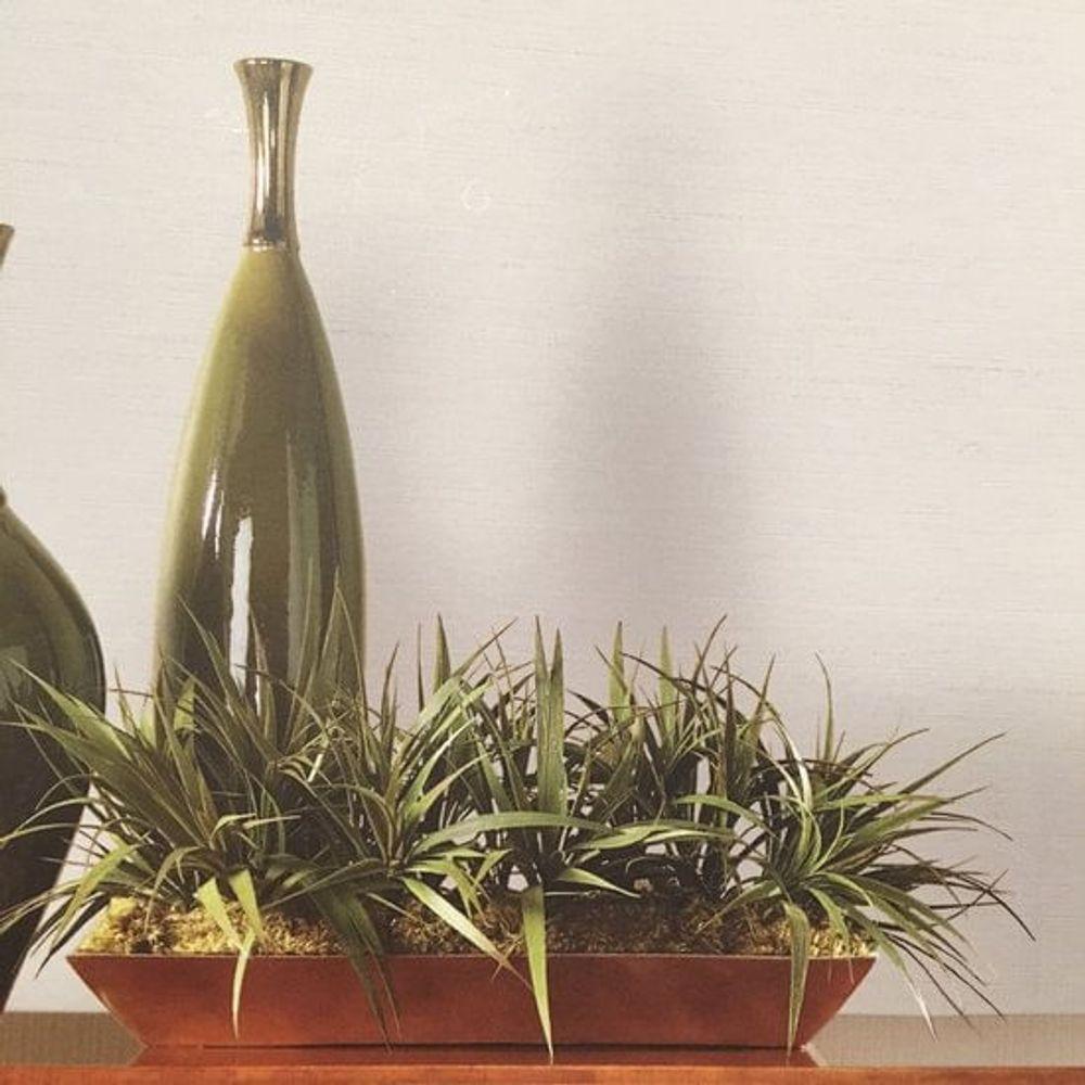 Papel De Parede Texture World H2990201 - Rolo 10m X 0,53m - 2