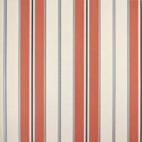 Papel De Parede Listrado Classic Stripes Ct889100 Vinílico - Rolo 10m X 0,53m - 1