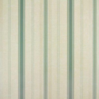 Papel De Parede Listrado Classic Stripes Ct889089 Vinílico - Rolo 10m X 0,53m