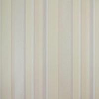 Papel De Parede Listrado Classic Stripes Ct889026 Vinílico - Rolo 10m X 0,53m - 1
