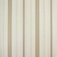 Papel De Parede Listrado Classic Stripes Ct889088 Vinílico - Rolo 10m X 0,53m - 1