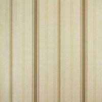 Papel De Parede Listrado Classic Stripes Ct889090 Vinílico - Rolo 10m X 0,53m - 1