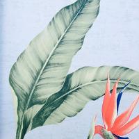 Papel De Parede Feature Wall 970103 Estrelícia - Rolo 10m X 0,53m - 1