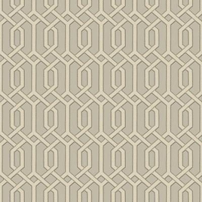 Papel De Parede Beaux Arts 2 Hexágono Clássico Ba220015 - Rolo 10m X 0,53m