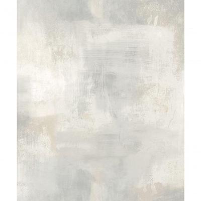 Papel De Parede Muse Cimento Cinza Claro A60001