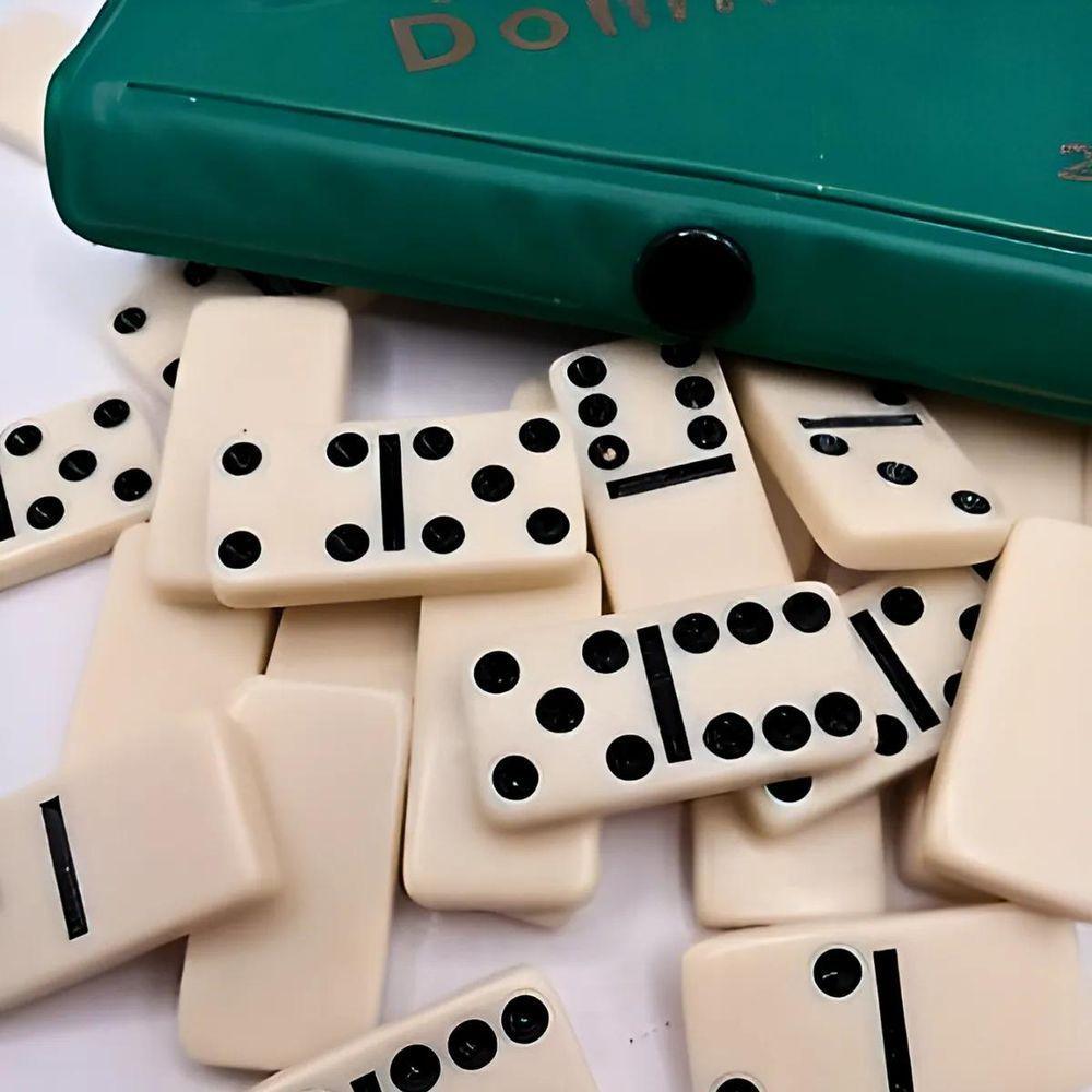 Dominó De Osso Profissional - 28 Peças - 5