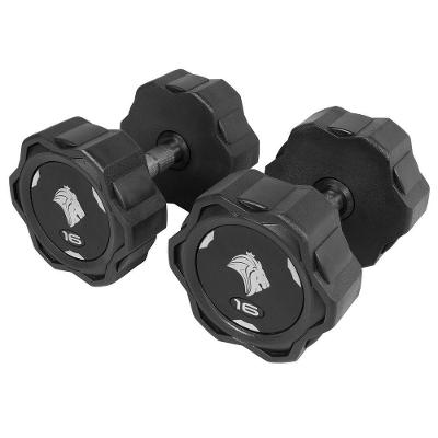 Par De Dumbbells 16kg Lion Monobloco Em Aço Maciço Injetado