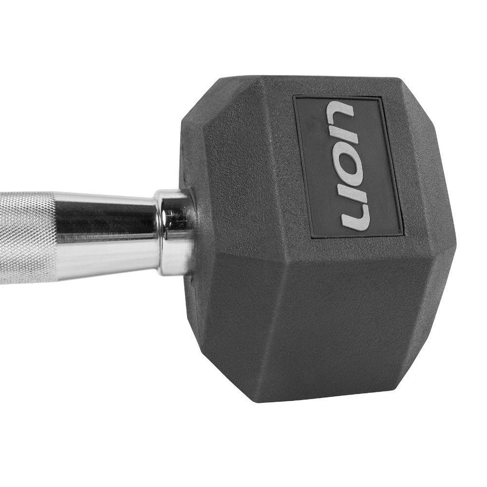 Par De Halteres Lion Performance Sextavado 4kg Aço Cromado - 4