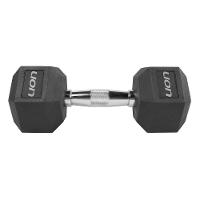 Jogo Halter Lion Sextavado Kit 1 A 10 Kg Aço Cromado Injet