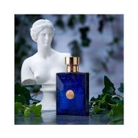 Versace Dylan Blue Edt Perfume Masculino 100ml - 4