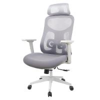 Cadeira Escritório Nr-17 Everest Presidente C- Braços Fratini Encosto Tela Gelo-cinza Base Rodízio - 1