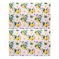 Jogo 2 Lugar Americano Retangular Mesa Limão Siciliano Plástico 43x28cm Lyor - 1