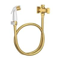 Ducha Higiênica Deca Polo 1984.gl33.act Com Registro E Derivação Gold - 1