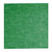 Toalha De Mesa Liso Verde Bandeira Tnt 70cm X 70cm - 10 Un - 2