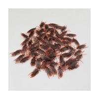 Enfeite Halloween Baratas De Plástico - 12 Unidades - 3