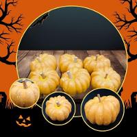 Decoração Halloween Abóbora Mini Sergipana - 6 Unidades - 2