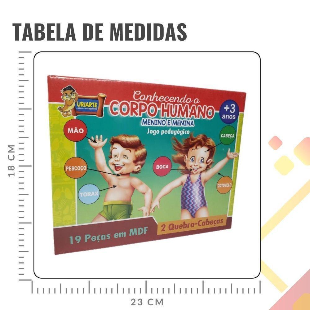 Jogo Pedagógico Conhecendo O Corpo Humano - 19 Peças - 2