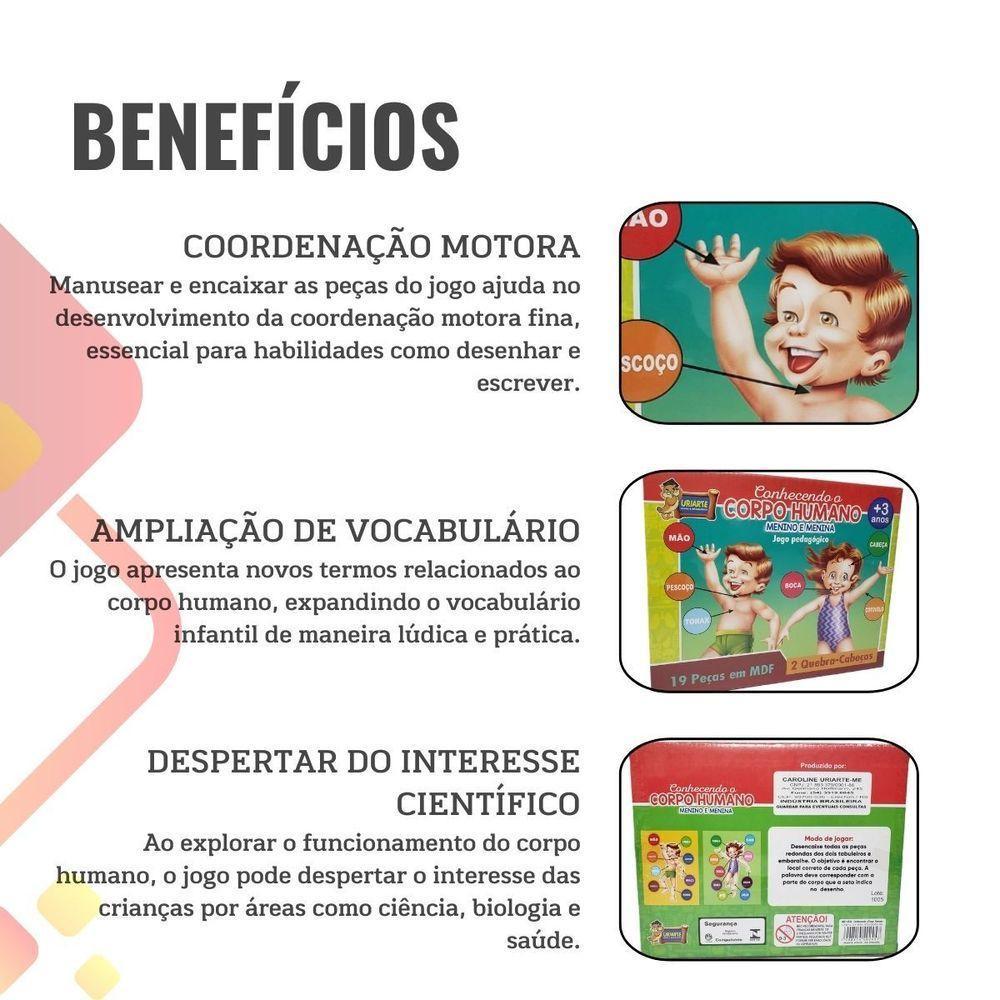 Jogo Pedagógico Conhecendo O Corpo Humano - 19 Peças - 3