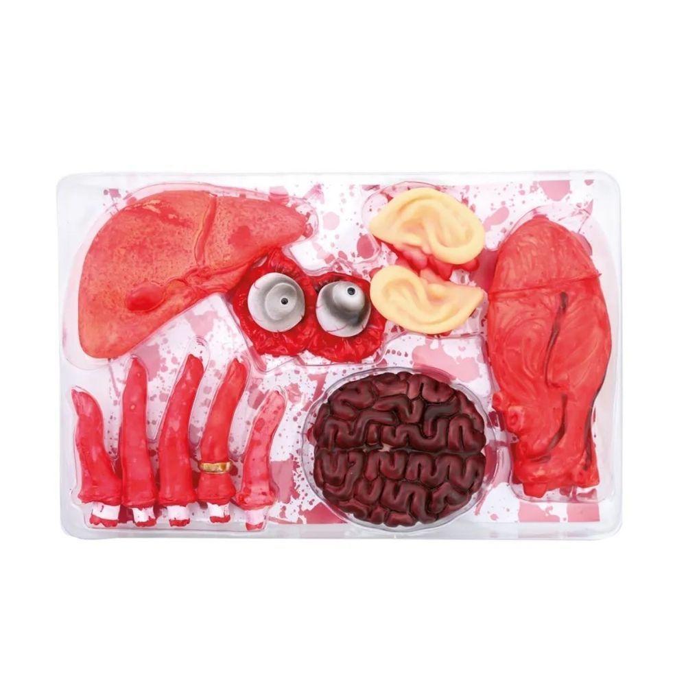 Decoração Halloween órgãos Com Sangue - 12 Itens - 1
