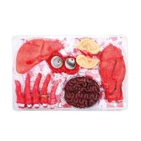 Decoração Halloween órgãos Com Sangue - 12 Itens - 1