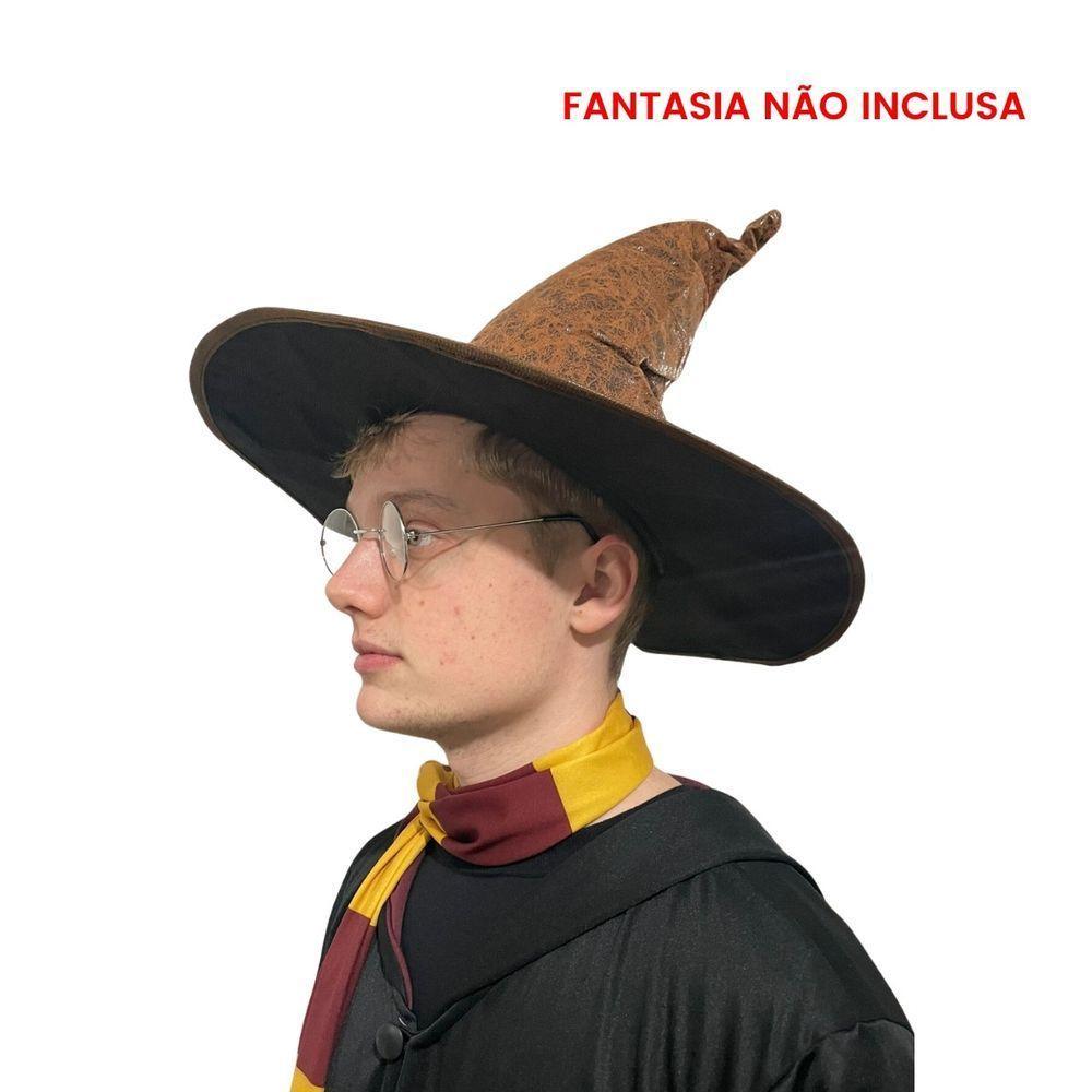 Chapéu De Bruxo Harry Potter Seletor - 3
