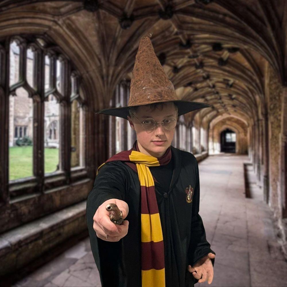 Chapéu De Bruxo Harry Potter Seletor - 7