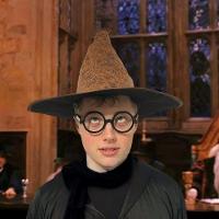 Chapéu De Bruxo Harry Potter Seletor - 5