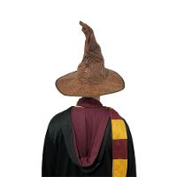 Chapéu De Bruxo Harry Potter Seletor - 8