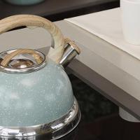 Chaleira Com Apito Roma 2,7 Litros Em Alumínio Verde - Brinox - 2