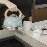 Chaleira Com Apito Roma 2,7 Litros Em Alumínio Verde - Brinox - 4