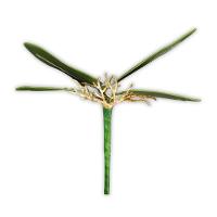 Folha Artificial Orquídea 4 Galhos - 22cm - 1