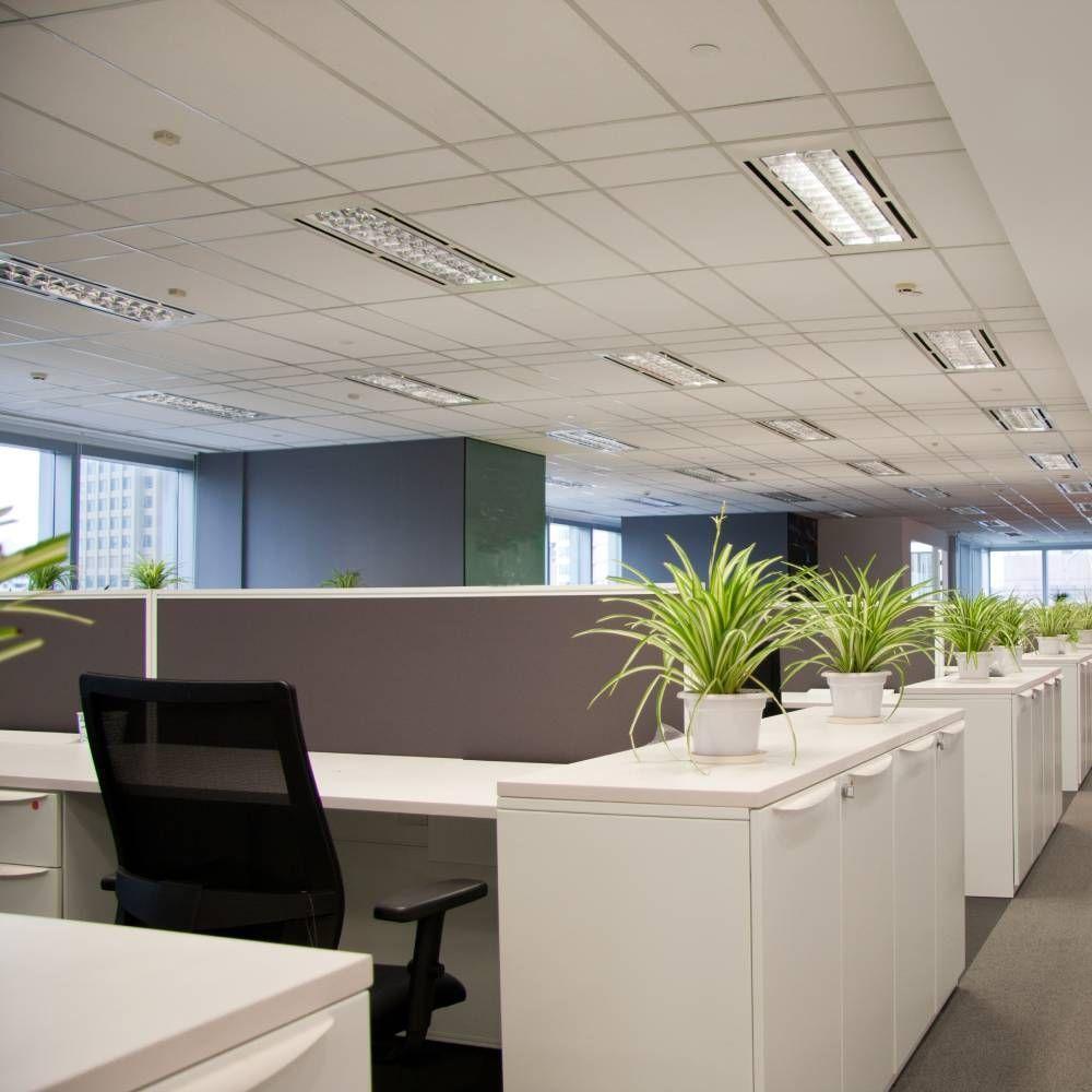 Lâmpada Tubular Fluorescente Led T8 9w Branca Avant - 2