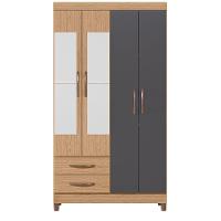 Guarda Roupa âmbar Solteiro 4 Portas Com Espelho Albatroz Freijó/titanium - 3