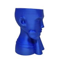 Rosto Enfeite Decoração Impressão 3d Porta Objeto Vaso 14 Cm Sala Azul Metálico - 3