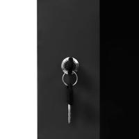 Rack Mini 19 Evus Ev-dw6412 12u X 600 X 450mm Parede Preto - 7