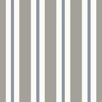 Papel De Parede Revoada Listrado Cinza E Azul 4456 - 1