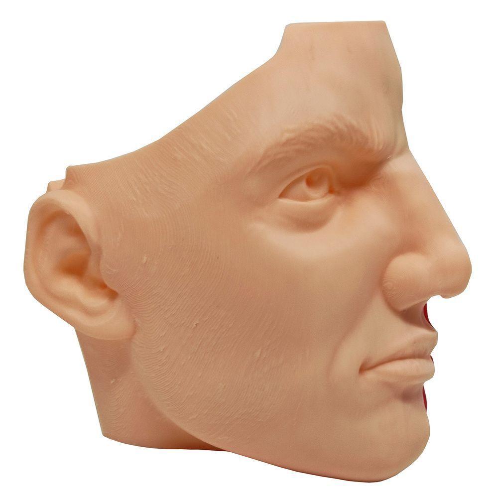 Anatomia Nasal Modelo 3d Otorrino Garganta Epiglote Concha Boca - 3