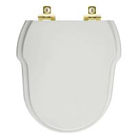 Assento Sanitário Com Amortecedor Ibiza Cinza Platina Para Vaso Incepa Com Ferragem Dourada - 1