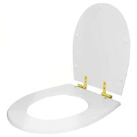 Assento Sanitário Soft Close Polo Branco Para Vaso Hervy Com Ferragem Dourada - 6