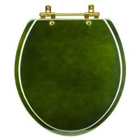 Assento Sanitário Convencional Oval Universal Verde Degradê Com Ferragem Dourada - 1