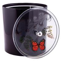 Tampa De Vaso E Lixeira Decorada Preto Com Borboleta Vermelha - 3