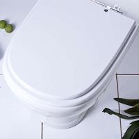 Assento Sanitario Poliester Ezedra Branco Para Vaso Ideal Standard - 6