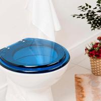 Assento Sanitario Poliester Azalea Azul Transparente Para Vaso Celite - 6