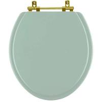 Assento Sanitario Poliéster Convencional Universal Oval Verde Agua Com Ferragem Dourada - 1