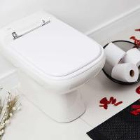Assento Sanitario Poliester Tivoli Branco Para Vaso Ideal Standard - 6
