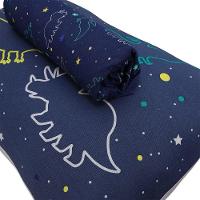 Jogo De Cama Solteiro 2 Pçs Joy 70% Algodão 30% Poliéster Dinossauros