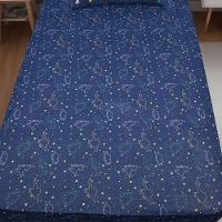 Jogo De Cama Solteiro 2 Pçs Joy 70% Algodão 30% Poliéster Dinossauros - 7